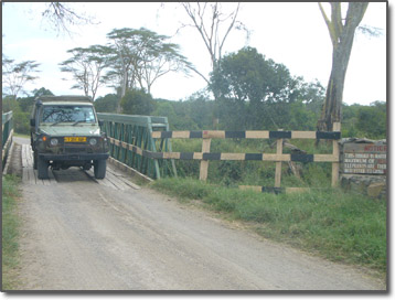 Elephant crossing